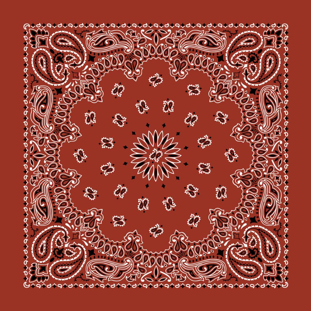 Paisley Bandanas